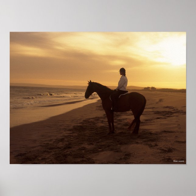 Bob Langrish | Pferd und Reiter On Beach bei Sunse Poster (Vorne)