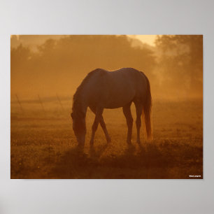 Bob Langrish Pferdeweide Sonnenaufgang Poster