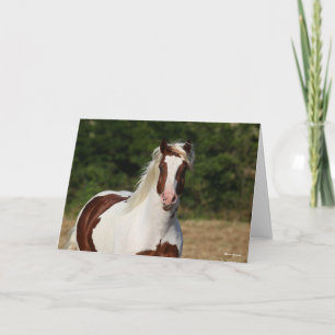 Bob Langrish Pinto Haflinger Headshot Karte