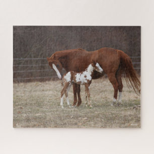 Bob Langrish Quarter Horse Mare and Paint Foal