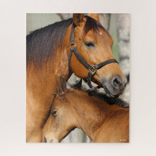 Bob Langrish Quarter Horse Mare und Foal Headshot
