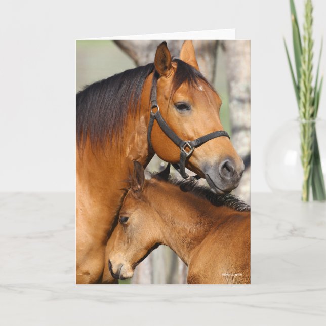 Bob Langrish Quarter Horse Mare und Foal Headshot Karte (Vorderseite)