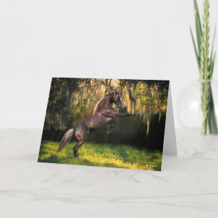 Bob Langrish Rocky Mountain Horaring Karte