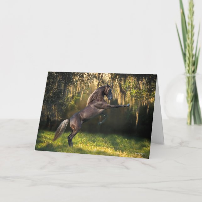 Bob Langrish | Rocky Mountain Horaring Karte (Vorderseite)