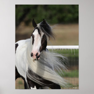 Bob Langrish Sinti und Roma Vanner Headshot Mane Poster