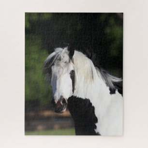 Bob Langrish   Sinti und Roma Vanner Horse Headsho