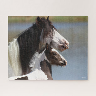 Bob Langrish   Sinti und Roma Vanner Mare and Foal