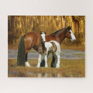 Bob Langrish   Sinti und Roma Vanner Mare and Foal