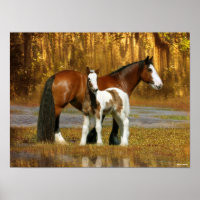 Bob Langrish | Sinti und Roma Vanner Mare and Foal