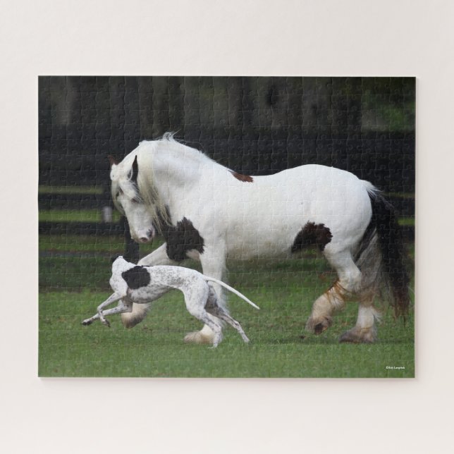 Bob Langrish Sinti und Roma Vanner und Hund laufen (Horizontal)