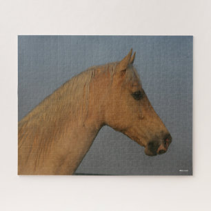 Bob Langrish Tennessee Walker Mistball Headshot