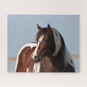 Bob Langrish Tobiano Paint Horse Stallion Headshot