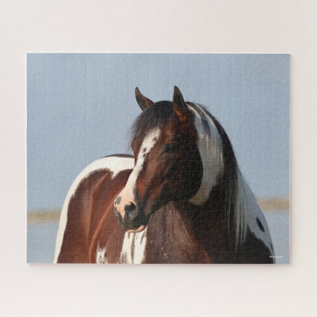 Bob Langrish Tobiano Paint Horse Stallion Headshot (Horizontal)
