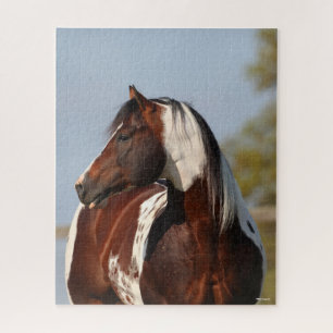 Bob Langrish Tobiano Paint Horse Stallion Kopfschu