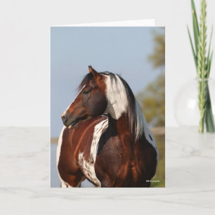 Bob Langrish Tobiano Paint Stallion Headshot Karte