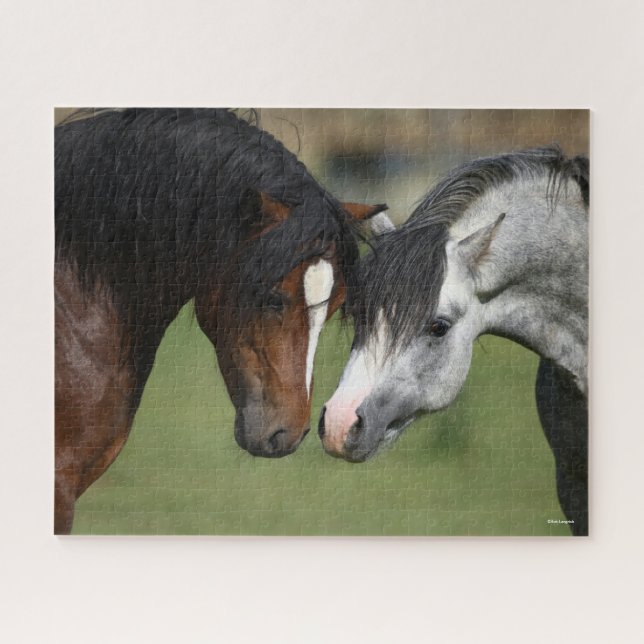 Bob Langrish | Two Welsh Ponies Meeting (Horizontal)