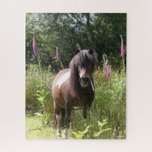 Bob Langrish Von Blume Stehendes Shetland Pony