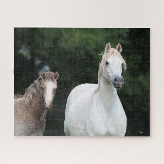 Bob Langrish | Walisische Pony Mare und Foal (Horizontal)