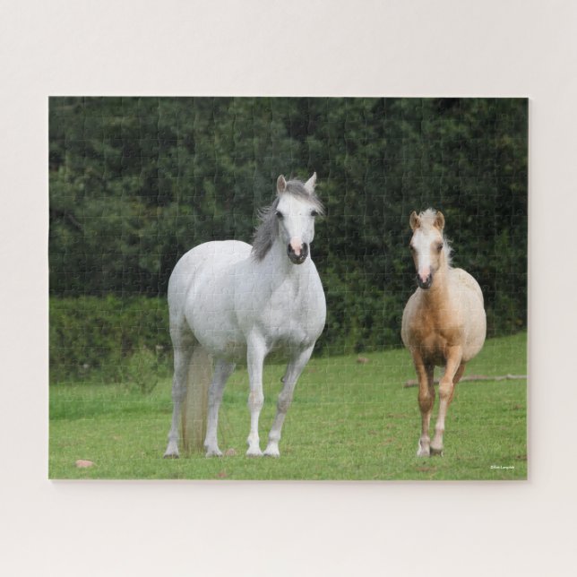 Bob Langrish | Walisische Pony Mare und Foal (Horizontal)
