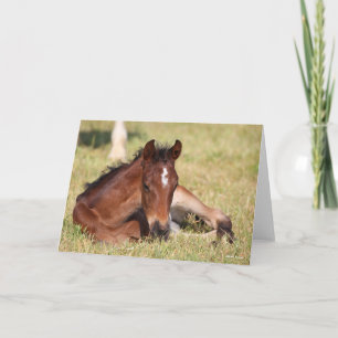 Bob Langrish Warmblut, das im Gras liegt Karte