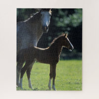 Bob Langrish | Warmblut Mare and Foal Backlit