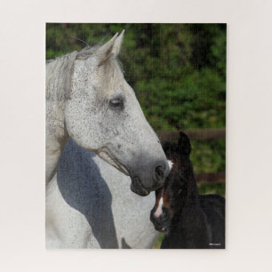 Bob Langrish Warmblut-Mare- und Fotopapier