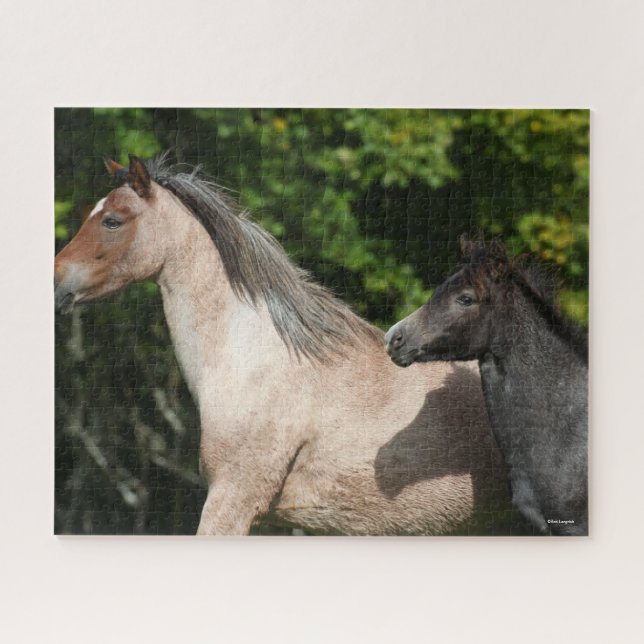 Bob Langrish | Welsh Pony Mare and Foal Headshot (Horizontal)