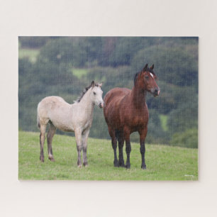 Bob Langrish Welsh Pony Mare and Foal Stehend