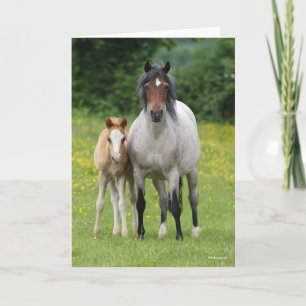 Bob Langrish Welsh Pony Mare and Foal Stehend Karte