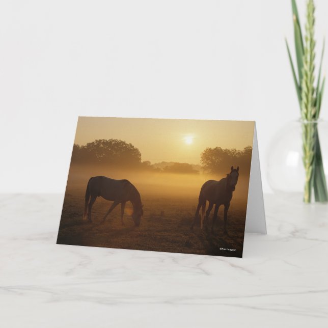 Bob Langrish zwei Araber Stehend in Nebel bei Sonn Karte (Vorderseite)