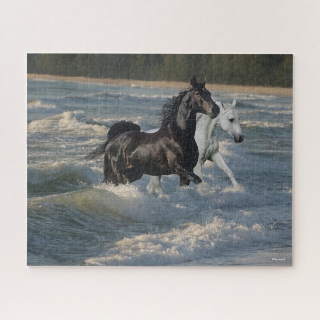 Bob Langrish | Zwei arabische Pferde, die im Meer  (Horizontal)