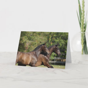 Bob Langrish Zwei braune andalusische Pferde lau Karte