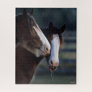 Bob Langrish Zwei Clydesdale Pferde Headshot