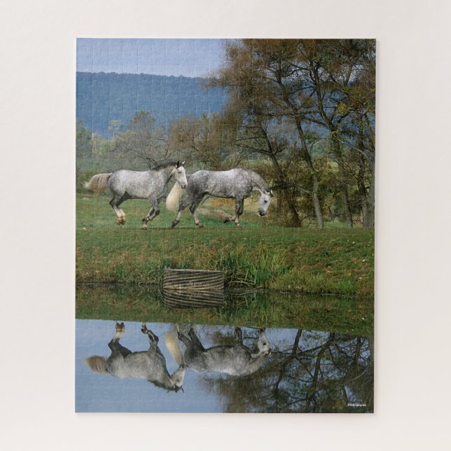Bob Langrish | Zwei Gemeine Warmblüten am See (Vertikal)