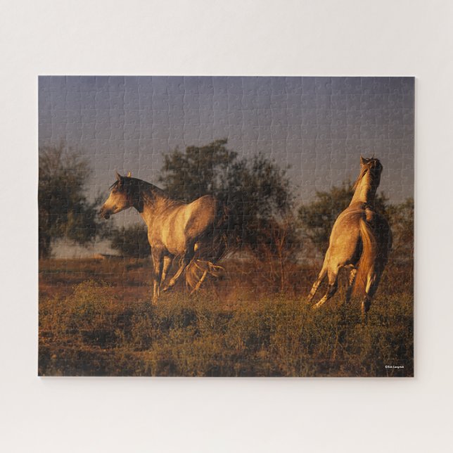 Bob Langrish | Zwei Pferde, die im Sonnenuntergang (Horizontal)