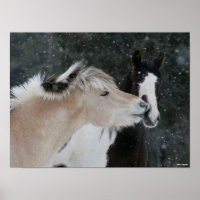Bob Langrish | Zwei Ponys-Treffen im Schneefall