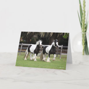 Bob Langrish Zwei Schwarzweiß-Sinti und Roma-Van Karte