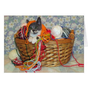 Bob Spinn'in une carte de fil