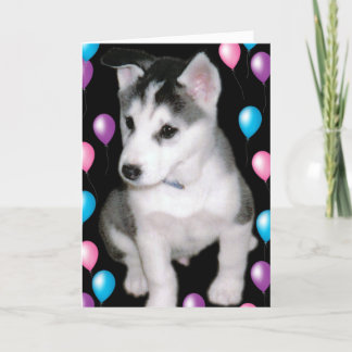 Bob und Ballone Karte