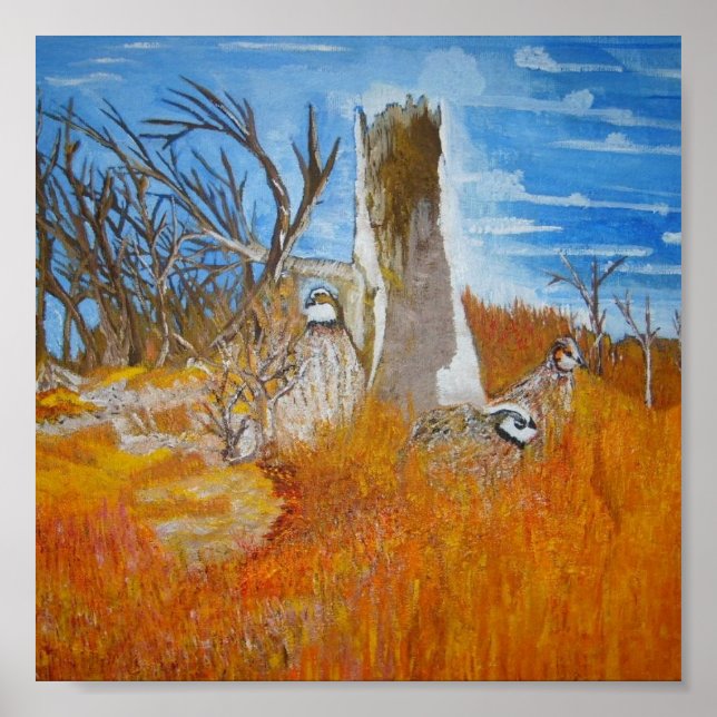 Bob White Quail Poster (Vorne)