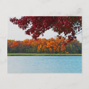 Bob Woodruff Park Foto Postkarte