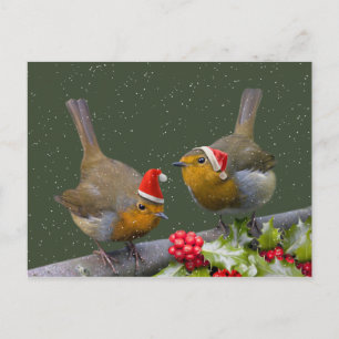 Bobbin' Robins Postkarte