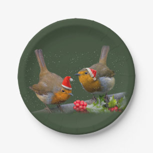 Bobbin'Robins Papierplatte Pappteller