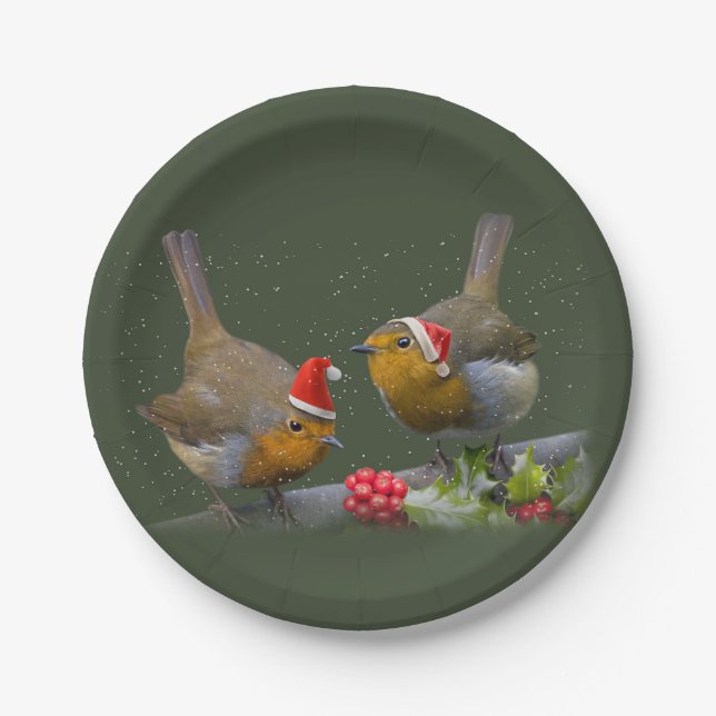 Bobbin'Robins Papierplatte Pappteller (Vorderseite)