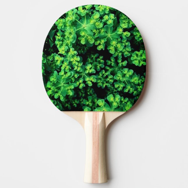 Bobble-Pflanze Tischtennis Schläger (Vorderseite)