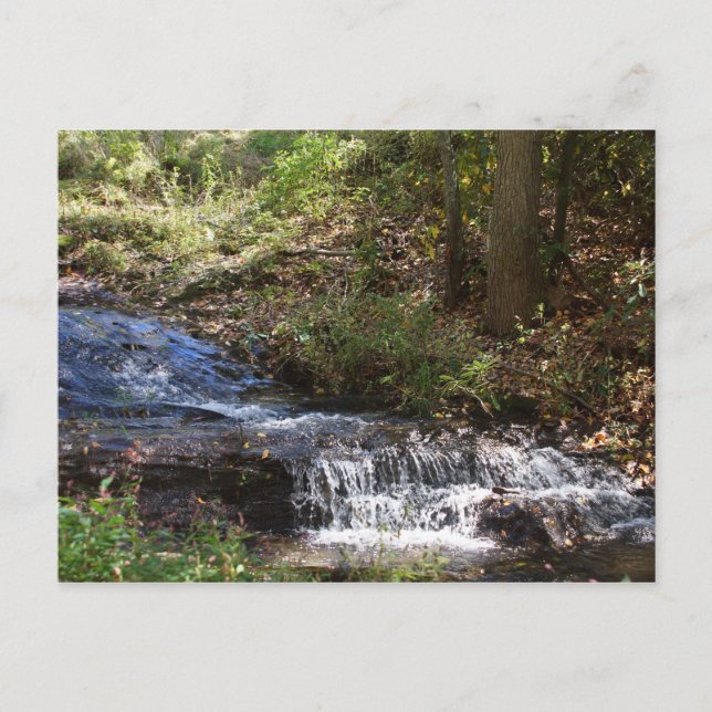 Bobby McLean Memorial Park #4 Newland, NC Postkarte (Vorderseite)