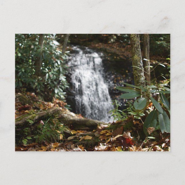 Bobby McLean Memorial Park, Newland, NC #3 Postkarte (Vorderseite)