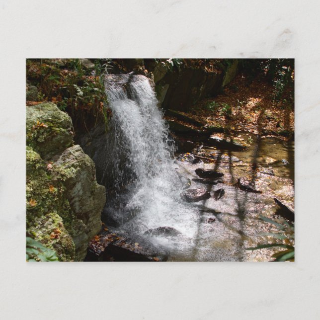 Bobby McLean Memorial Park Wasserfall #2 Postkarte (Vorderseite)