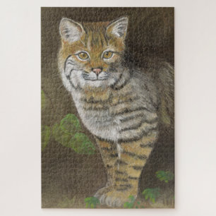 Bobcat