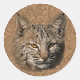 Bobcat Aufkleber